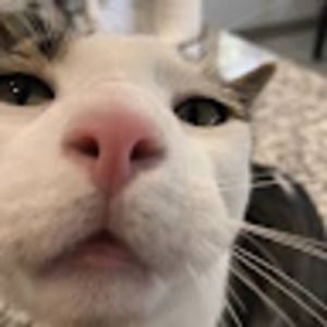 Meet your Posher, Imtae